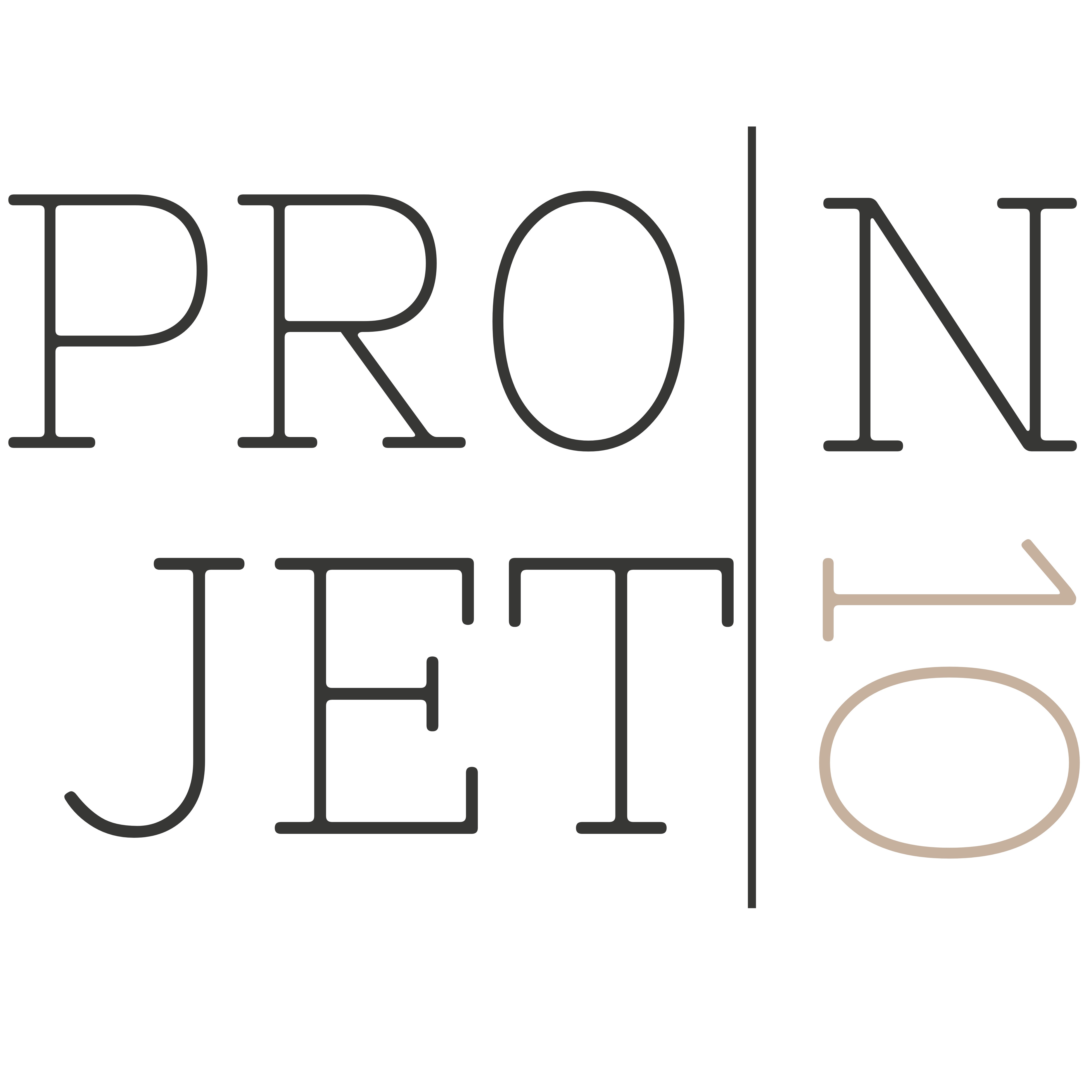 PROJET-N10