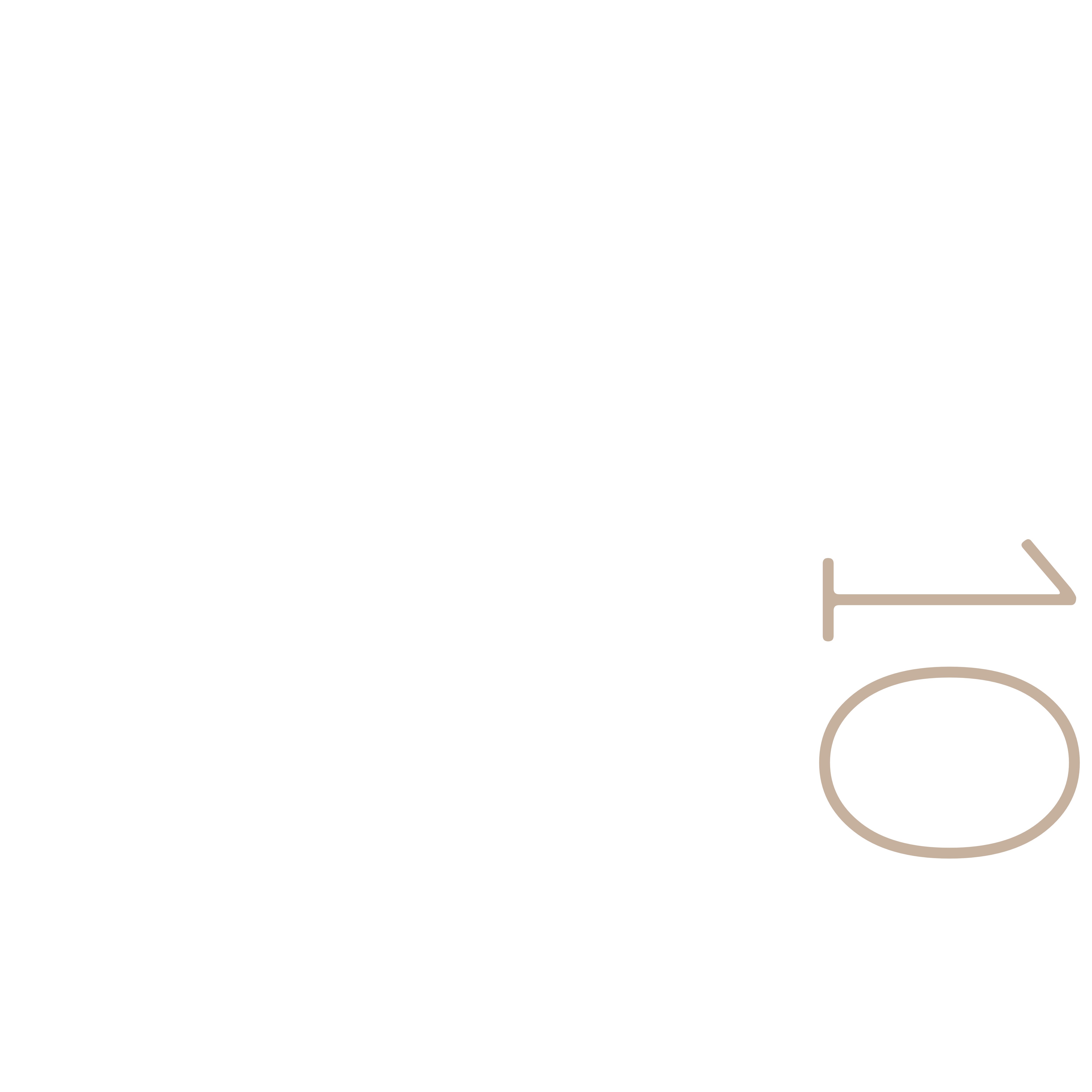 PROJET-N10
